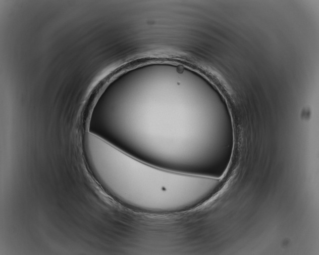 X0000100781114200806191010