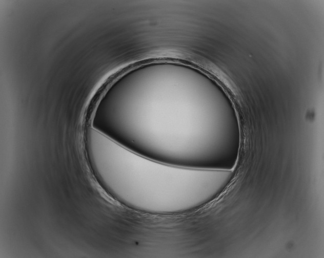 X0000100781116200806191010