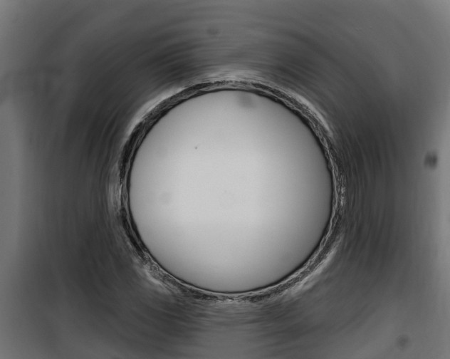X0000100781117200806191010