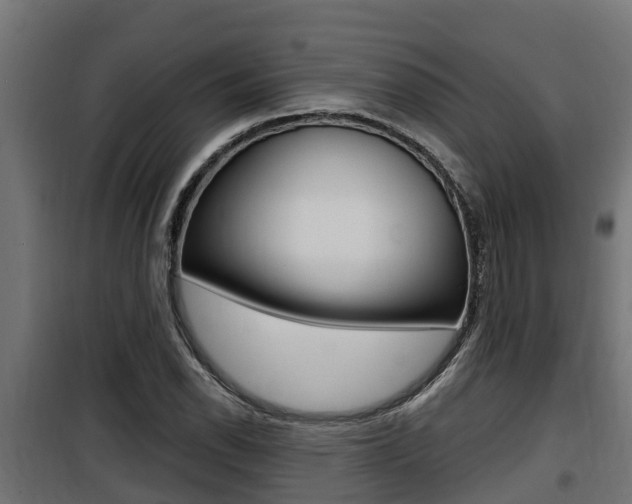 X0000100781118200806191010