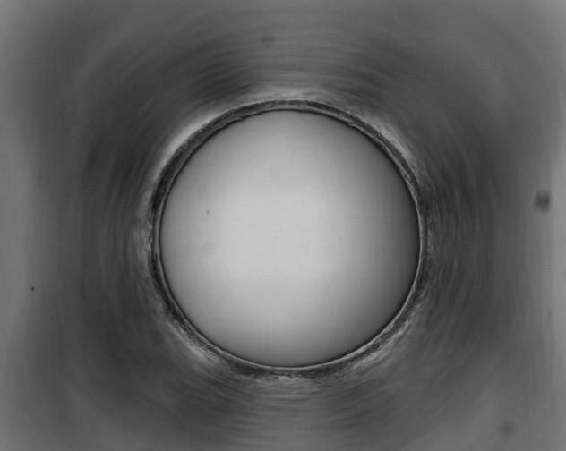 X0000100781119200806191010