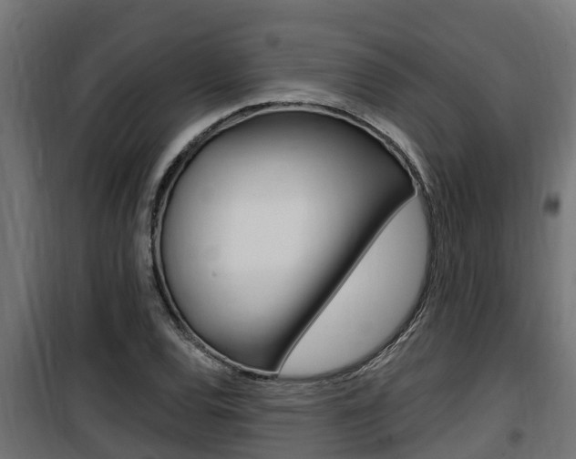 X0000100781120200806191010