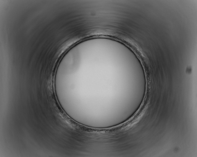 X0000100781121200806191010
