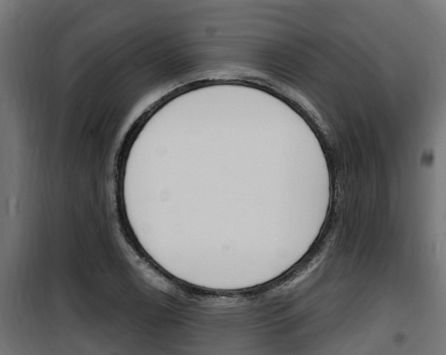 X0000100781122200806191010