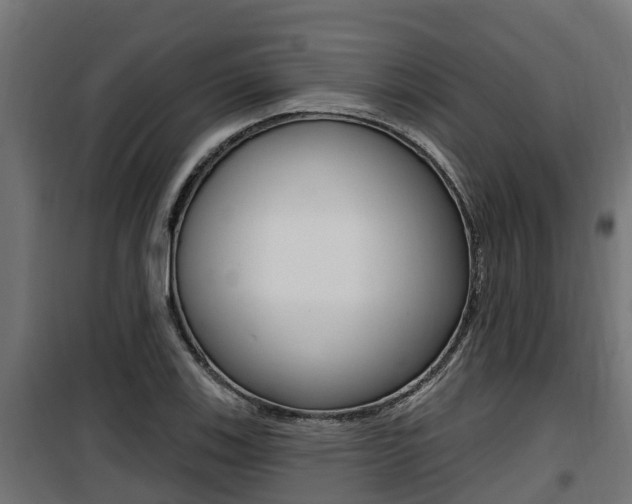 X0000100781123200806191010
