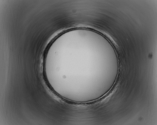 X0000100781126200806191010