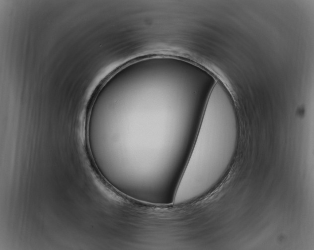 X0000100781128200806191010
