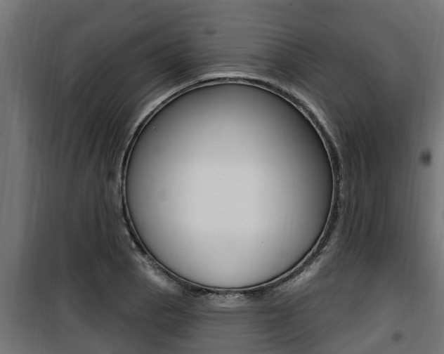 X0000100781129200806191010