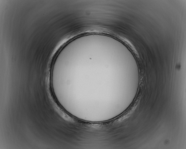 X0000100781130200806191010