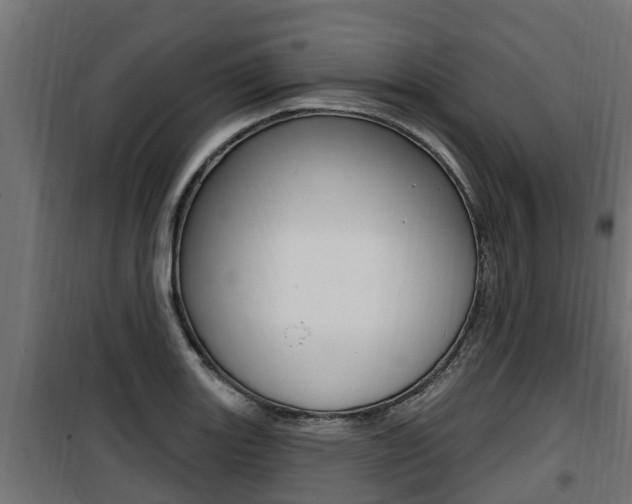 X0000100781131200806191010