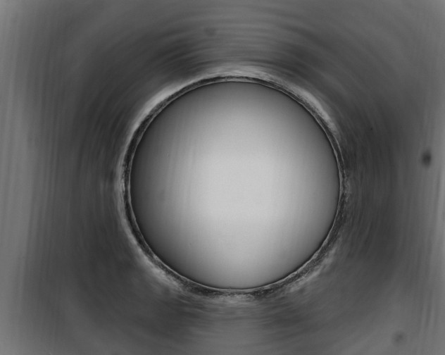 X0000100781133200806191010