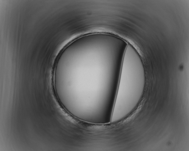 X0000100781134200806191010
