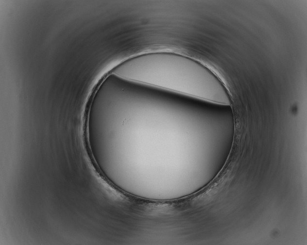 X0000100781135200806191010