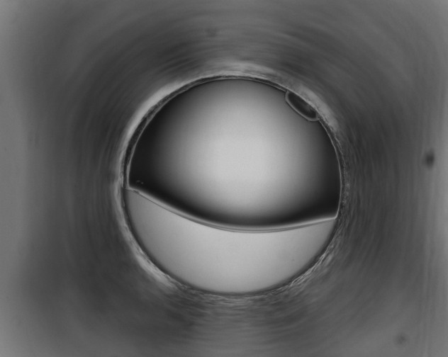 X0000100781136200806191010