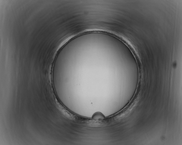 X0000100781137200806191010