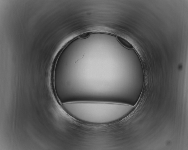 X0000100781139200806191010