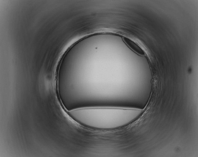 X0000100781143200806191010