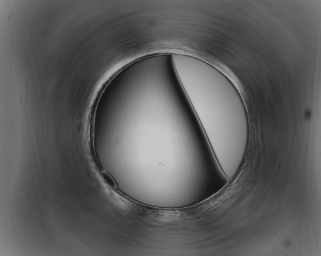 X0000100781144200806191010
