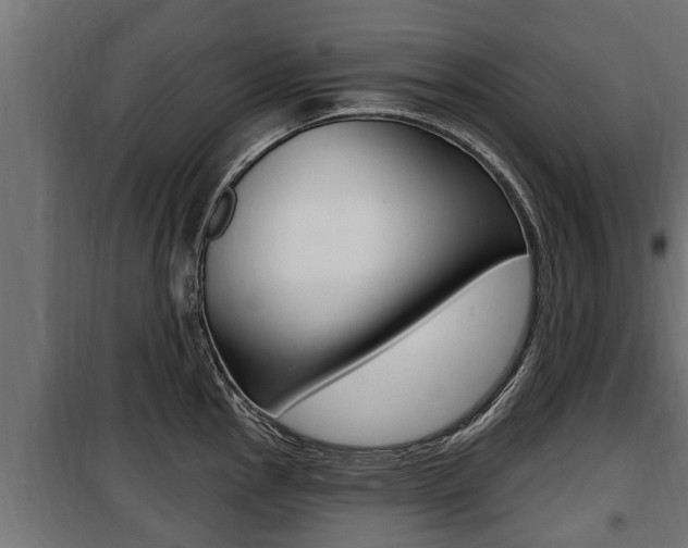 X0000100781145200806191010