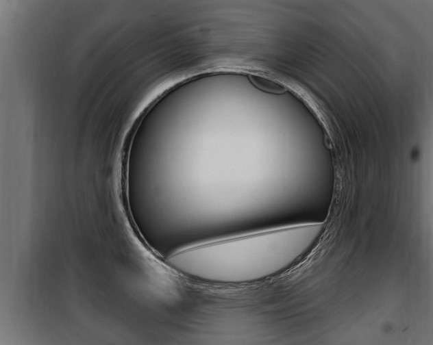 X0000100781147200806191010