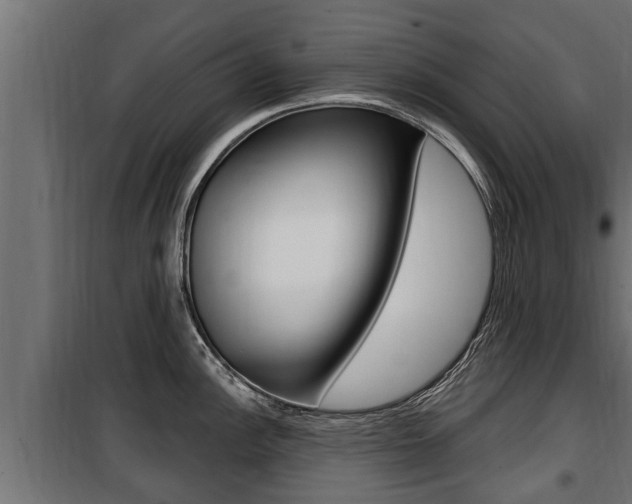 X0000100781148200806191010