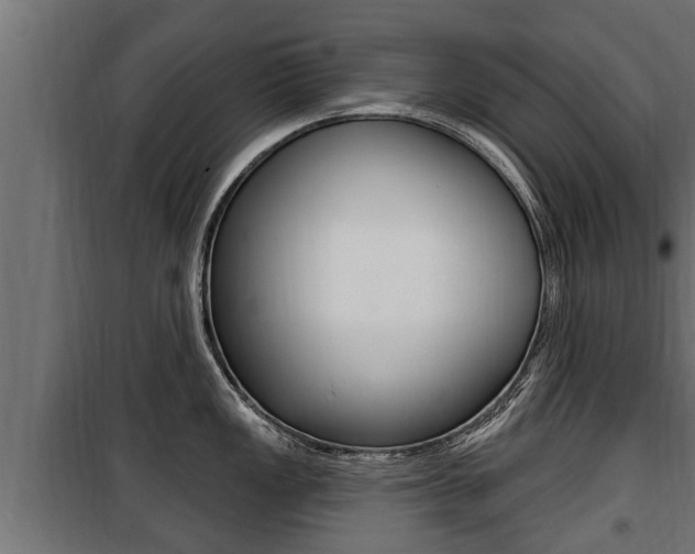 X0000100781149200806191010