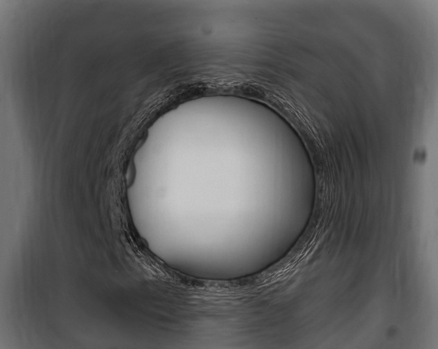 X0000100781153200806191010