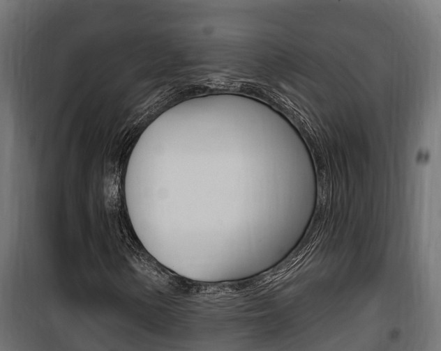 X0000100781154200806191010