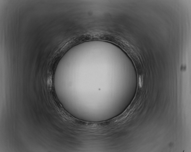 X0000100781155200806191010