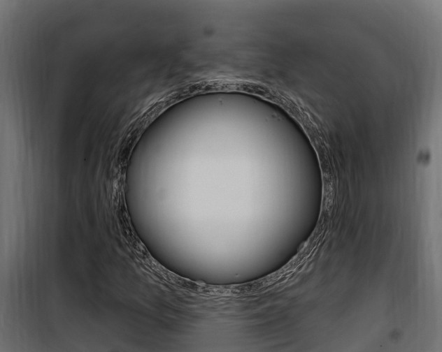 X0000100781157200806191010