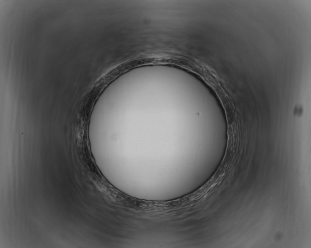 X0000100781158200806191010