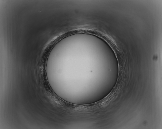 X0000100781159200806191010