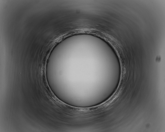 X0000100781161200806191010
