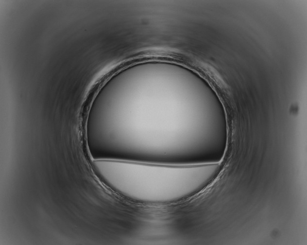 X0000100781164200806191009