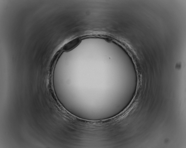 X0000100781165200806191009