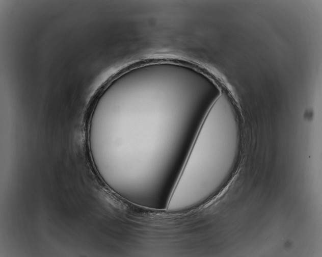 X0000100781167200806191009