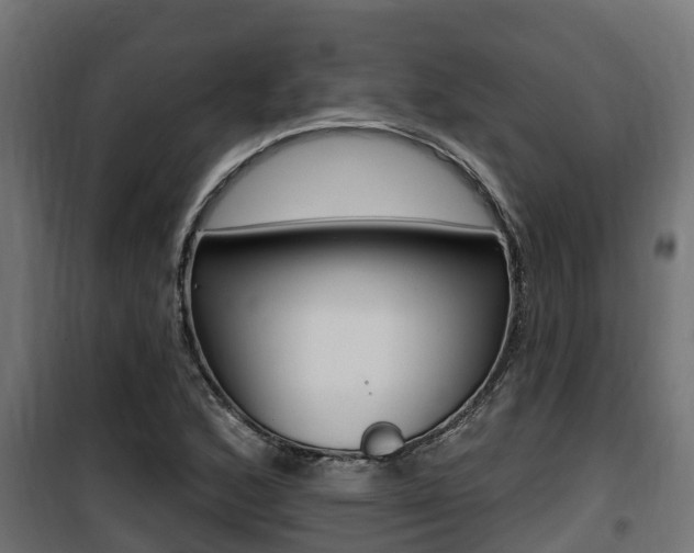 X0000100781168200806191009
