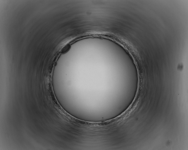 X0000100781169200806191009