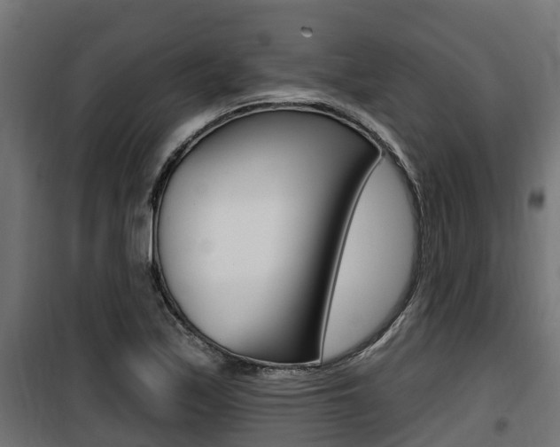 X0000100781171200806191009