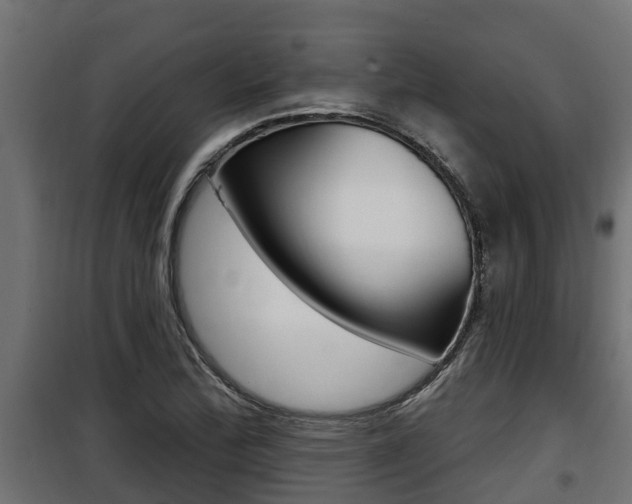 X0000100781172200806191009