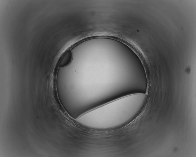 X0000100781173200806191009