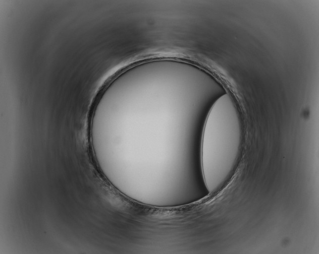 X0000100781174200806191009