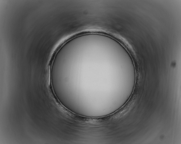 X0000100781175200806191009