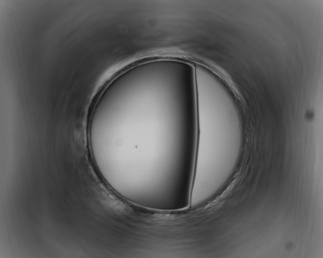 X0000100781176200806191009