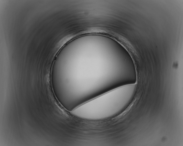 X0000100781177200806191009