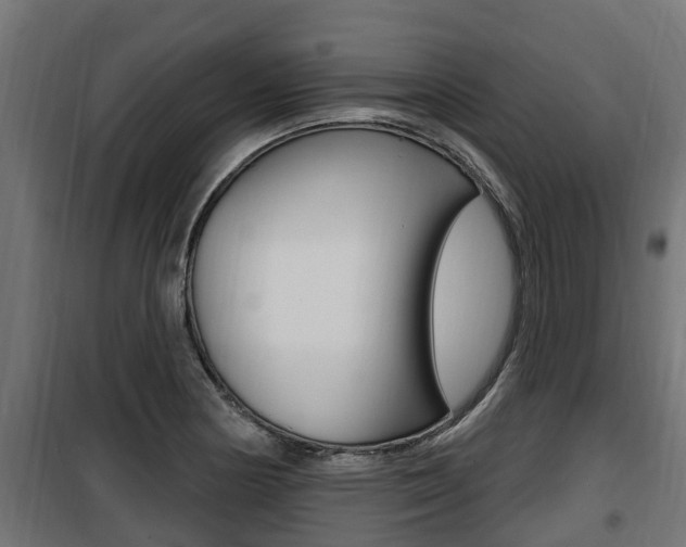X0000100781178200806191009