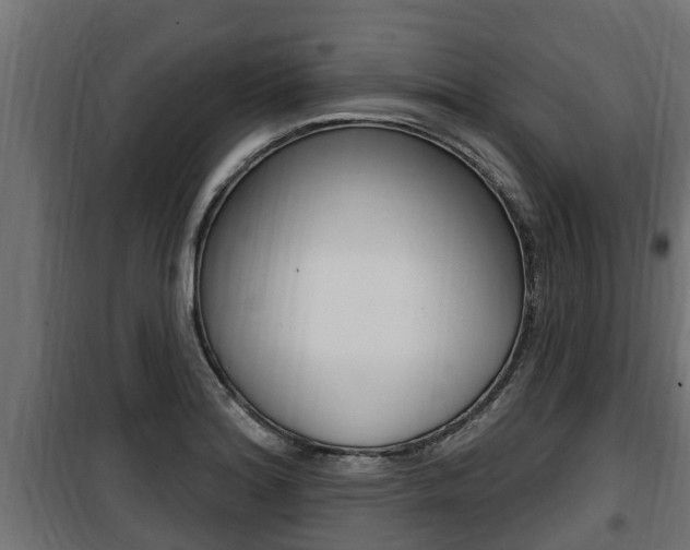 X0000100781180200806191009