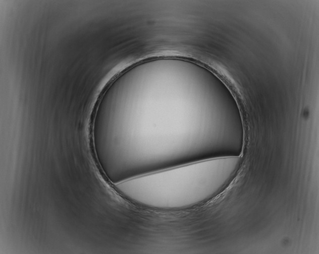 X0000100781181200806191009