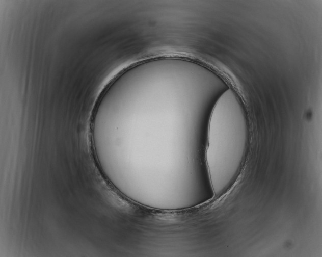 X0000100781182200806191009