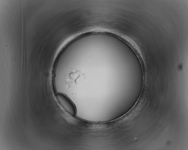 X0000100781183200806191009